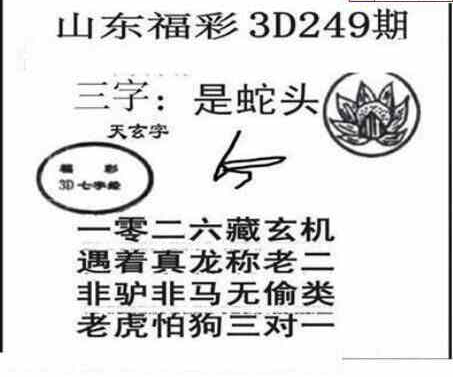 24249期: 三毛3D精品图谜