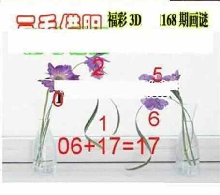 24168期: 三毛3D精品图谜