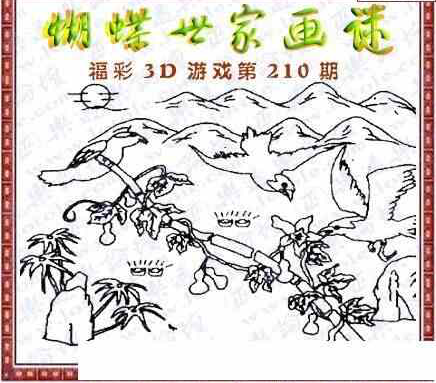 24210期: 3D蝴蝶世家蝴蝶彩图