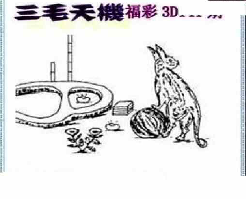 24141期: 三毛3D精品图谜