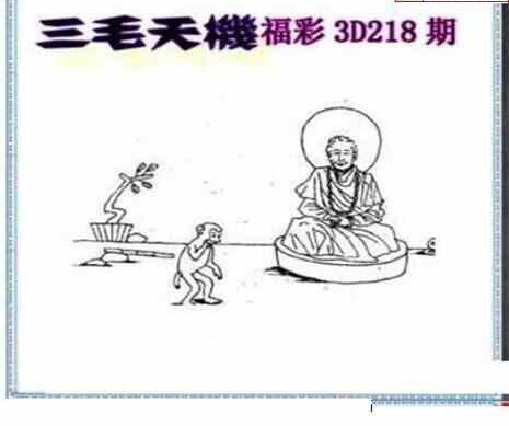 24218期: 三毛3D精品图谜