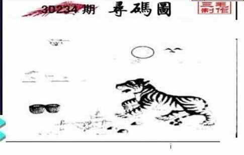 24234期: 三毛3D精品图谜