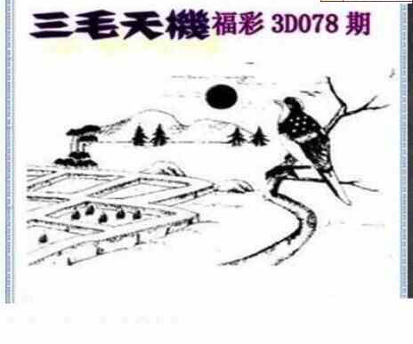 24078期: 三毛3D精品图谜