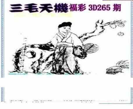 24265期: 三毛3D精品图谜