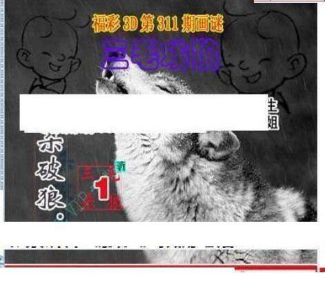 24311期: 三毛3D精品图谜