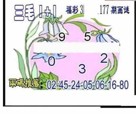 24177期: 三毛3D精品图谜