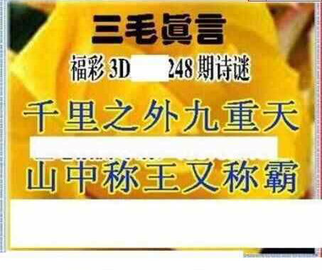 24248期: 三毛3D精品图谜