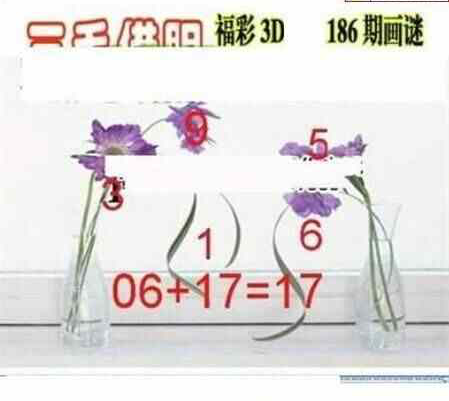 24186期: 三毛3D精品图谜