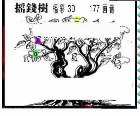 24177期: 三毛3D精品图谜