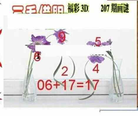 24207期: 三毛3D精品图谜