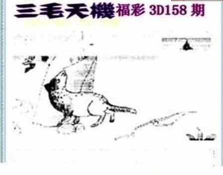 24158期: 三毛3D精品图谜