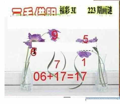 24223期: 三毛3D精品图谜