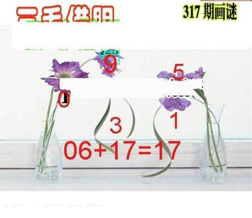 24317期: 三毛3D精品图谜