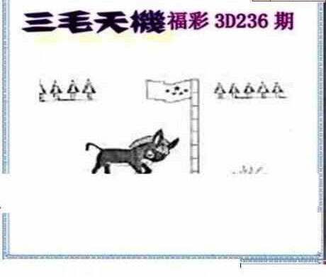 24236期: 三毛3D精品图谜