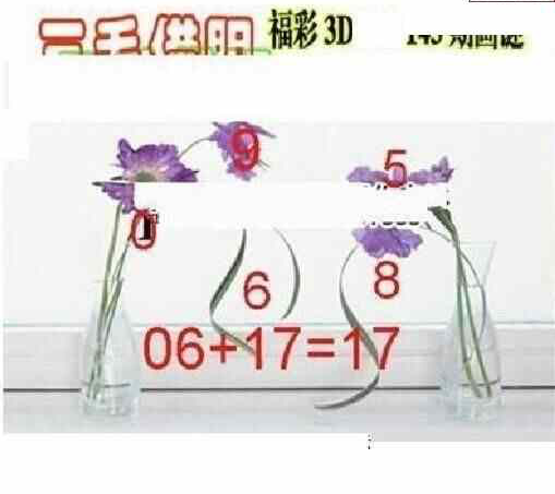 24143期: 三毛3D精品图谜