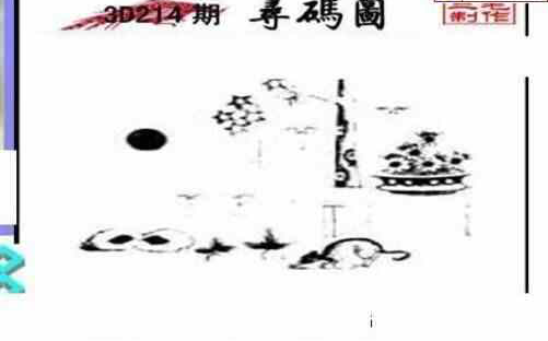 24214期: 三毛3D精品图谜