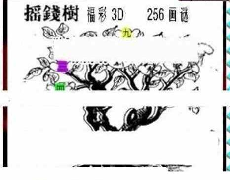 24256期: 三毛3D精品图谜