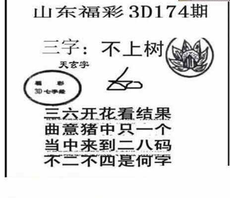 24174期: 三毛3D精品图谜