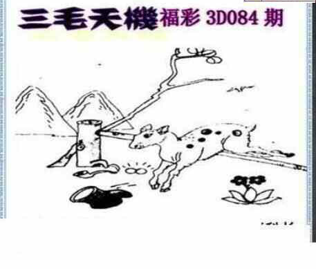 24084期: 三毛3D精品图谜