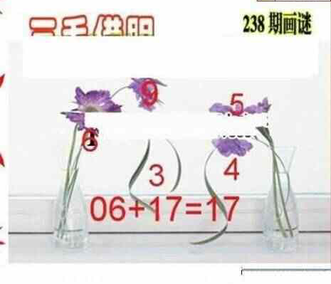 24238期: 三毛3D精品图谜