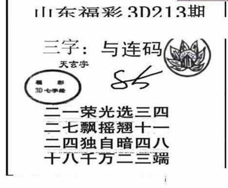 24213期: 三毛3D精品图谜