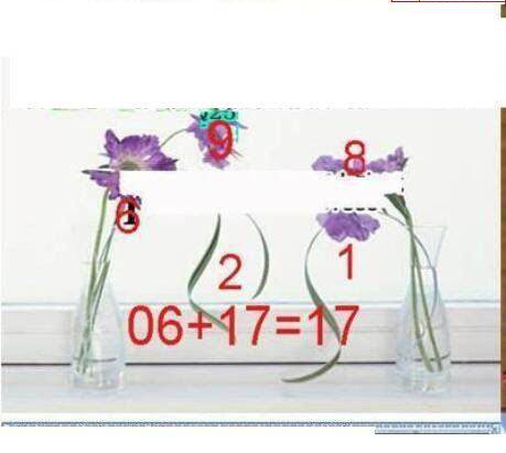 24307期: 三毛3D精品图谜