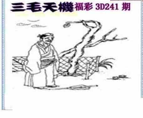 24241期: 三毛3D精品图谜