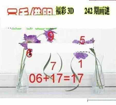 24242期: 三毛3D精品图谜