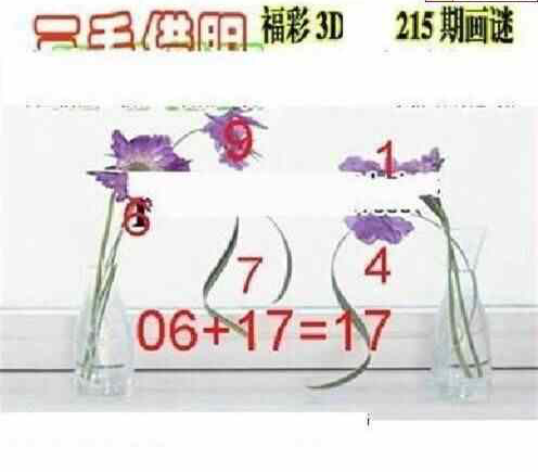 24215期: 三毛3D精品图谜