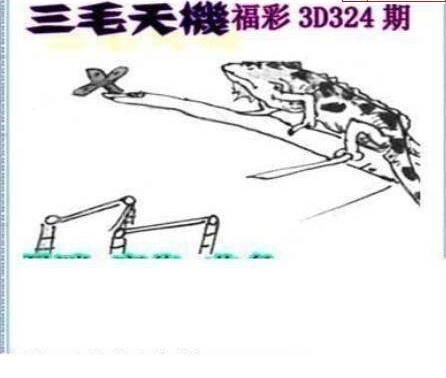 24324期: 三毛3D精品图谜