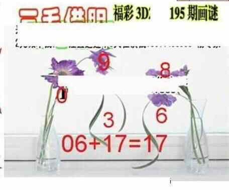 24195期: 三毛3D精品图谜