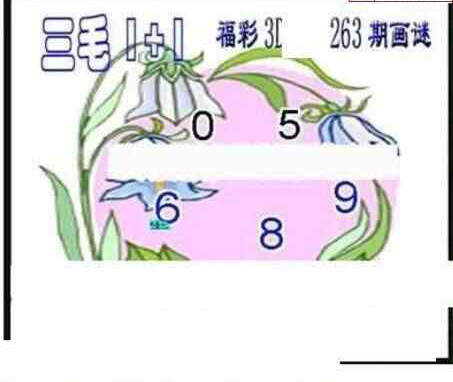 24263期: 三毛3D精品图谜