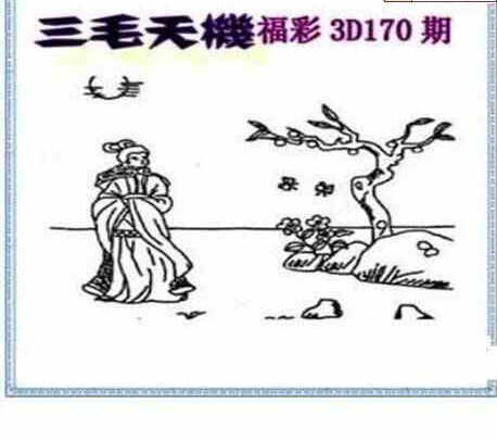 24170期: 三毛3D精品图谜