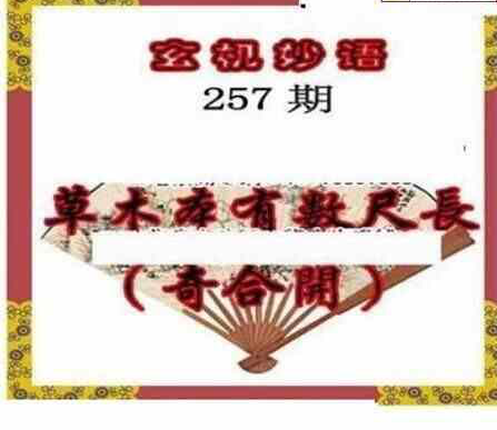 24257期: 三毛3D精品图谜