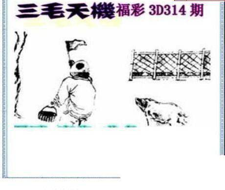 24314期: 三毛3D精品图谜