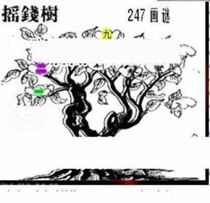 24247期: 三毛3D精品图谜