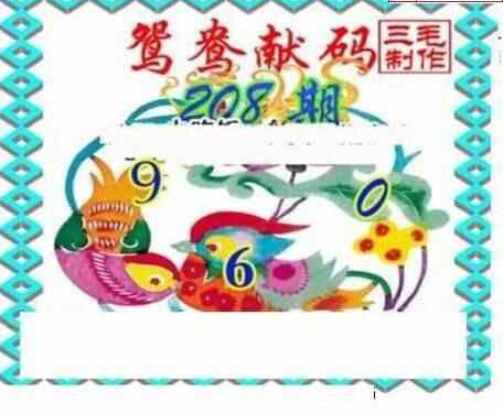 24208期: 三毛3D精品图谜