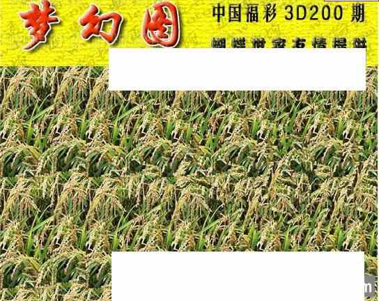 24200期: 3D蝴蝶世家蝴蝶彩图