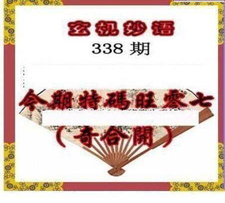 24338期: 三毛3D精品图谜