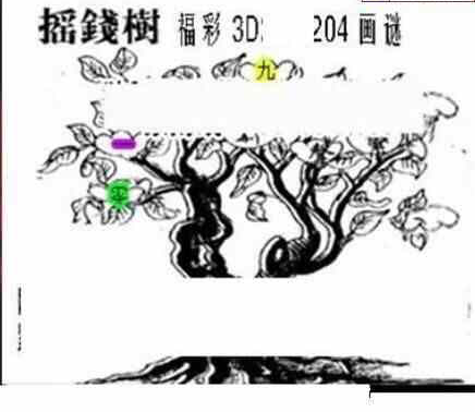 24204期: 三毛3D精品图谜