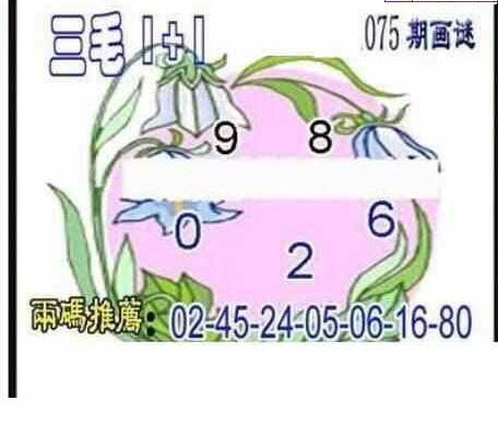 24075期: 三毛3D精品图谜