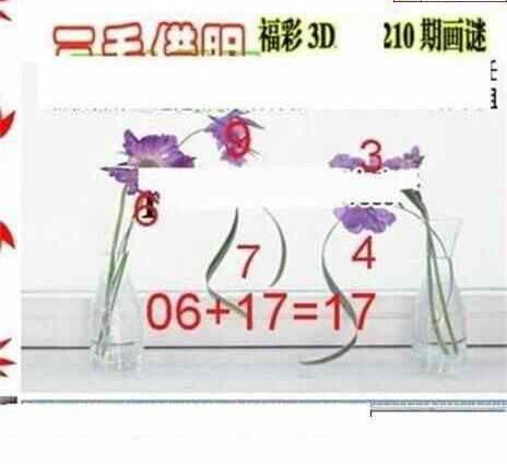 24210期: 三毛3D精品图谜