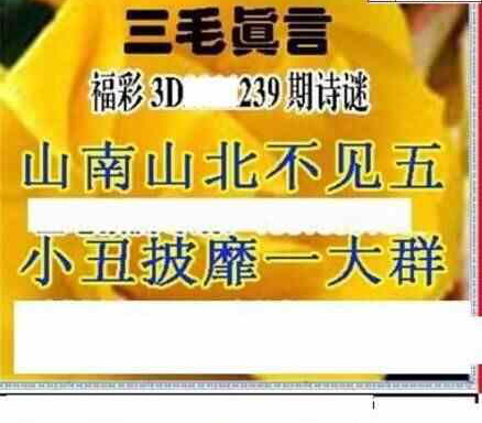 24239期: 三毛3D精品图谜