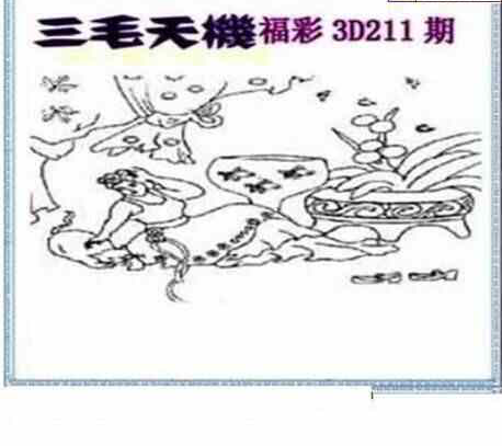 24211期: 三毛3D精品图谜