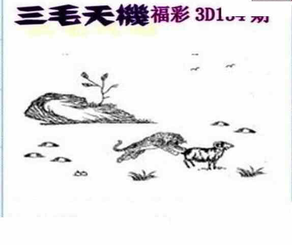 24134期: 三毛3D精品图谜