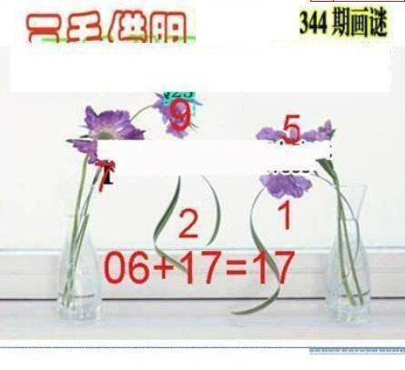 24344期: 三毛3D精品图谜