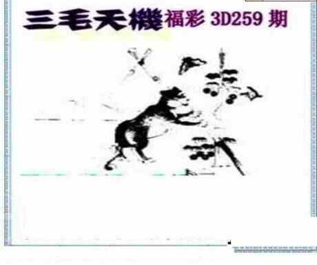 24259期: 三毛3D精品图谜