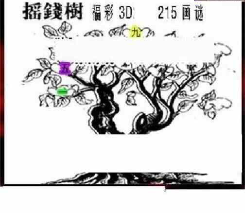 24215期: 三毛3D精品图谜