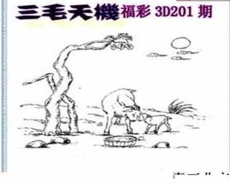 24201期: 三毛3D精品图谜