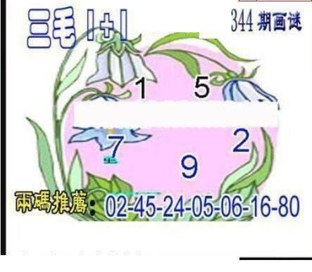 24344期: 三毛3D精品图谜